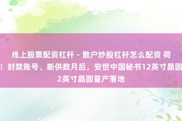 线上股票配资杠杆 - 散户炒股杠杆怎么配资 荷兰有点急！封禁账号、断供数月后，安世中国秘书12英寸晶圆量产落地